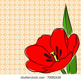 Greeting card with Tulip, vector