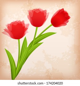 Greeting card with tulip. Vector illustration.