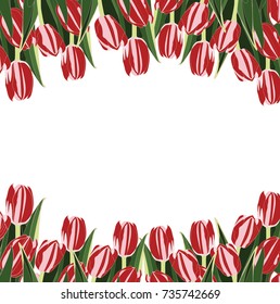 greeting card with tulips  frame 