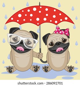 Greeting card two Dogs with umbrella
