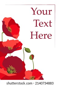 Greeting card vector template with red poppies and copy space. White background