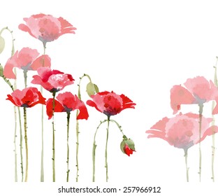 Greeting card with watercolor  blooming poppies . With place for your text. (Use for Boarding Pass, birthday card, invitations, thank you card.) Vector illustration.