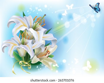 Greeting card with white lilies