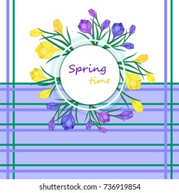 Greeting card with the words Spring Time and flowers.Vector illustration with,purple and yellow crocuses on a white background.