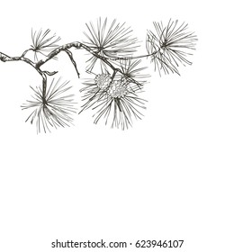 greeting card.Pine branch with cone hand drawn vector illustration design for greeting cards, calendars, posters, prints, invitations.