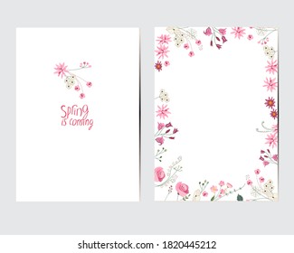 Tarjetas de felicitación con elementos florales. Decoración con hierbas y rosas rosadas