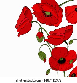 Greeting cards with floral romantic elements. Growing poppies on white background. Template for print t-shirts or hoodies. Red flowers for ANZAC DAY.