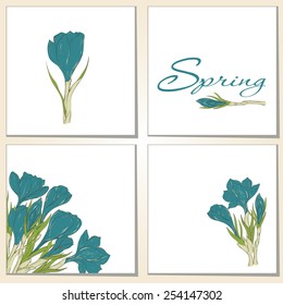 Greeting cards with hand drawn crocus spring flowers. Valentines day card design. Use for Greeting cards, Wedding invitations, announcement cards. Vector illustration.