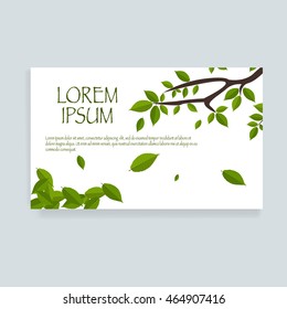 Greeting cards vector template with tree leaf. Vector Illustration EPS 10.