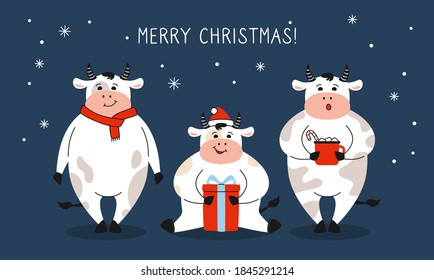 Greeting Christmas card, bull with gift. New Year symbol cartoon cow, buffalo or calf. Merry Christmas and happy new year. Hand drawn animal character holidays vector