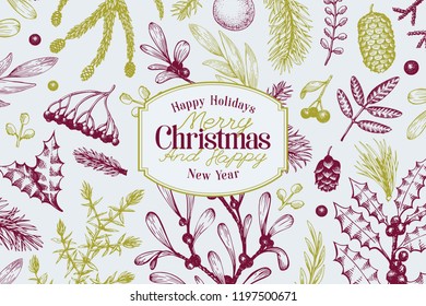 Greeting Christmas card in retro style. Vector hand drawn illustrations. Frame with coniferous, pine branches, berries, holly, mistletoe. Winter forest background. Merry Christmas template.