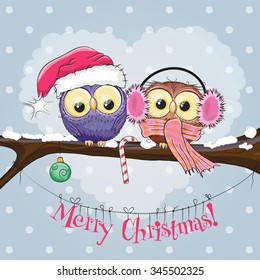 Greeting Christmas card Two Owls on a branch