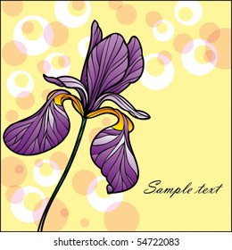 greeting floral card