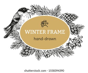 Greeting frame for decoration of cards, gifts. Festive frame for winter holidays. Christmas composition with a bird, mountain ash, cones, fir branches. Hand-drawn illustration. Sketch, engraving style