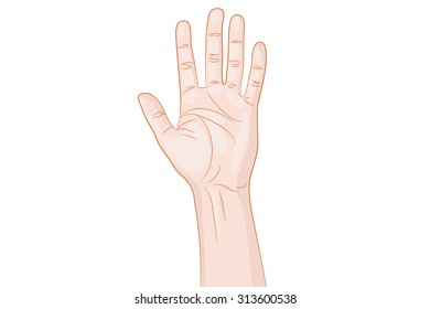 Greeting Hand Gesture vector illustration.