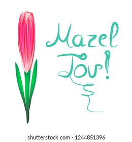 Greeting inscription Mazel Tov translated from Hebrew I wish you happiness. Tulip flower. Vector illustration on isolated background.