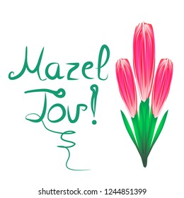 Greeting inscription Mazel Tov translated from Hebrew I wish you happiness. A bouquet of tulips. Vector illustration on isolated background.