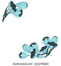 Greeting, invitation card with blue crocuses. Vector illustration.