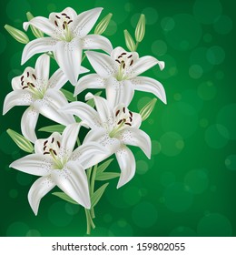 Greeting Or Invitation Card With Bouquet White Lily Flower. Green Floral Festive Background. Vector Illustration