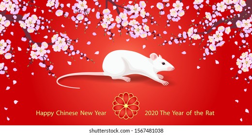 Greeting  New Year's card with pink blossom branches and rodent on red background.  White Rat is a symbol of the 2020 Chinese New Year. Vector flat illustration.