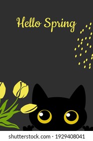 Greeting spring card with a black cute cat with yellow tulips on a dark gray background for printing on poster, clothes, notebooks, decorative pillows. Vector graphics.