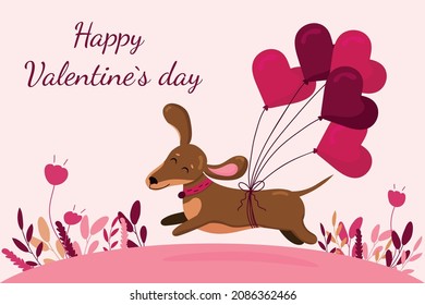 Greeting Valentines day card template. Cute dachshund run in love mood with air hearts balloons on pink background. Vector illustration