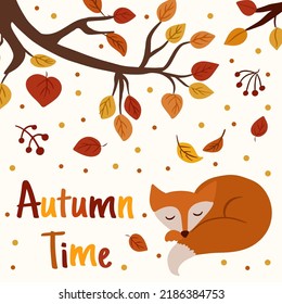 Greeting vector card with autumn branch  and a sleeping fox