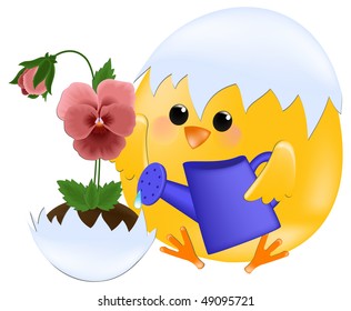 Greetings card with chick watering pansies (EPS10)