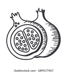 grenade fruit hand draw and line style icon design of healthy organic food theme Vector illustration