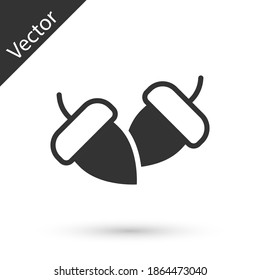 Grey Acorn icon isolated on white background. Vector.