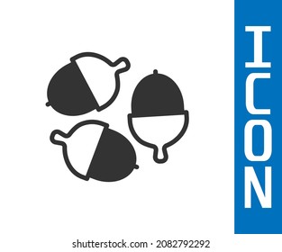 Grey Acorn icon isolated on white background.  Vector