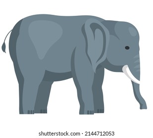 Grey African Elephant. Cartoon Big Character Of Zoo Or Jungle, Funny And Dangerous Animal With Tusks And Big Ears, Vector Illustration Of Exotic Strong Beast Of Wildlife Isolated On White Background