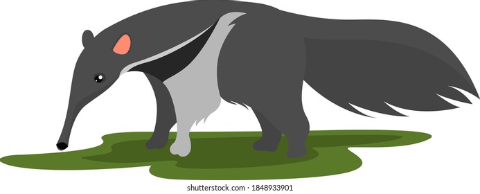 Grey Ant Eater, Illustration, Vector On White Background