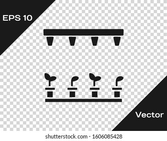 Grey Automatic irrigation sprinklers icon isolated on transparent background. Watering equipment. Garden element. Spray gun icon.  Vector Illustration