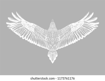 Grey background with hand drawn white raven.Symbol of freedom.Flying bird.Back of eagle. Detailed mascot.White isolated owl on the grey background.Print for t shirt.Animal feathers pattern.