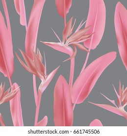 Grey background, pink leaves and blossom ornament textile. South African tropical flower seamless vector pattern. Jungle plant Strelitzia Reginae also known as crane flower or bird of paradise. 