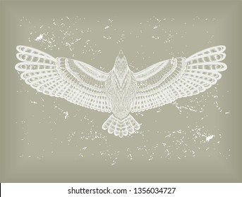 Grey background with white condor. Vintage illustration. Drawing bird. Nature texture. To be use for print t shirt, tattoo art, coloring book pages.