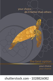 Grey banner with a turtle