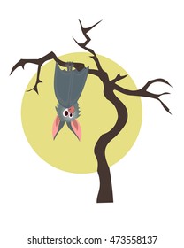 Grey bat hanging on a dry tree