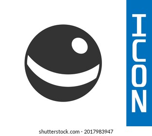 Grey Beach ball icon isolated on white background. Children toy.  Vector