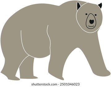 Grey bear, grey bear vector, bear vector, bear illustration 