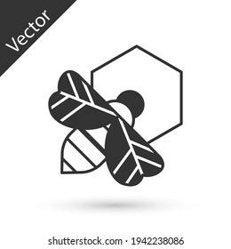 Grey Bee and honeycomb icon isolated on white background. Honey cells. Honeybee or apis with wings symbol. Flying insect. Sweet natural food. Vector
