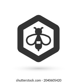 Grey Bee and honeycomb icon isolated on white background. Honey cells. Honeybee or apis with wings symbol. Flying insect. Sweet natural food.  Vector