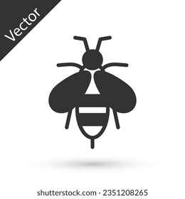 Grey Bee icon isolated on white background. Sweet natural food. Honeybee or apis with wings symbol. Flying insect.  Vector