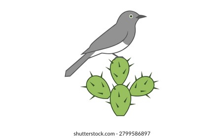 Grey bird with white underbelly resting on a spiky green cactus plant featuring sharp thorns in a clean and simple nature-focused graphic composition.