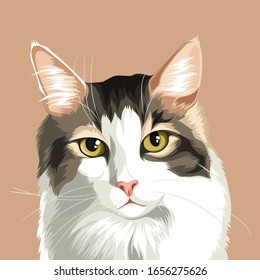 grey black white cat vector