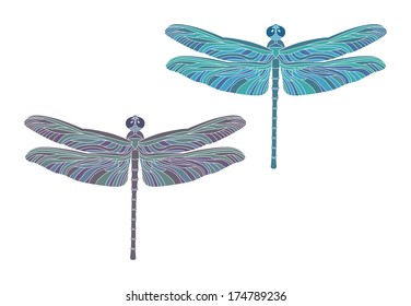 grey and blue dragonflies on white background