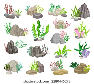 Gris Boulder y Sea Stones con Algas y Algas Gran Vector Set