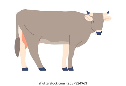 Grey breed of cow vector illustration