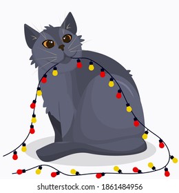 a grey British cat with a Christmas tree garland in its teeth. Funny new year vector illustration on a white background	
